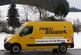 2 Pneu Egger_H6009